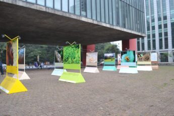 Sao Paulo Brasil, Aku Tidak Dipimpin Tetapi Memimpin (4)