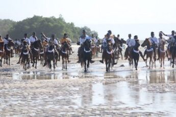Parade 1001 Kuda Sandelwood yang Cuma Ada di Sumbawa