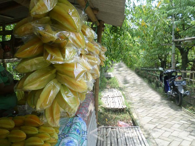 Agro Wisata Belimbing, Tempat Wisata yang Asyik di Bojonegoro