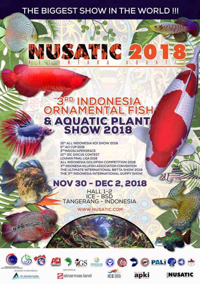 pameran dan kontes ikan hias 2018