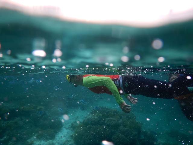 snorkeling raja ampat