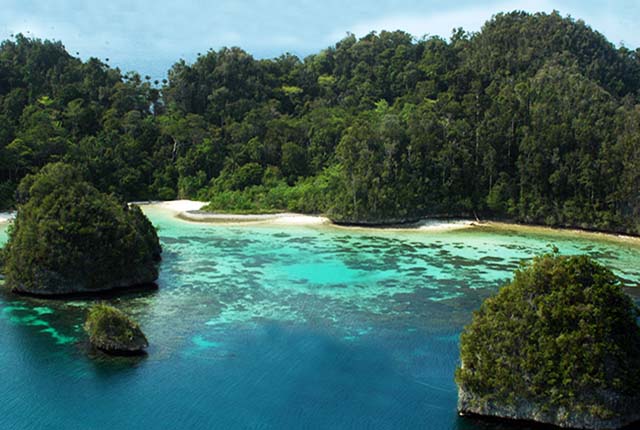 pulau waigeo