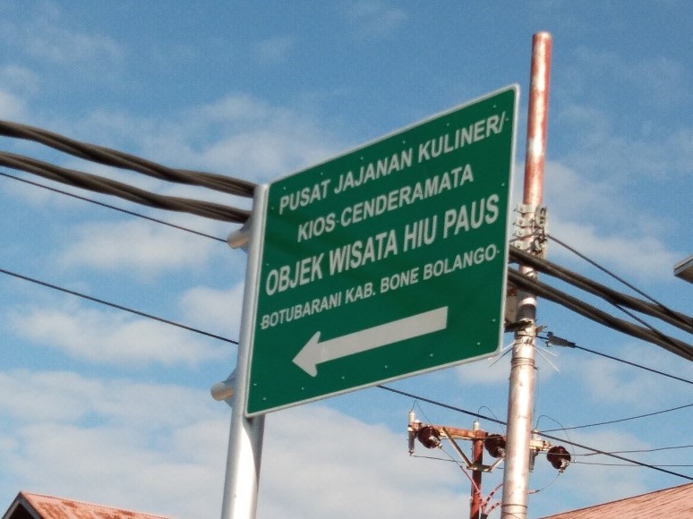 objek wisata hiu paus - gorontalo