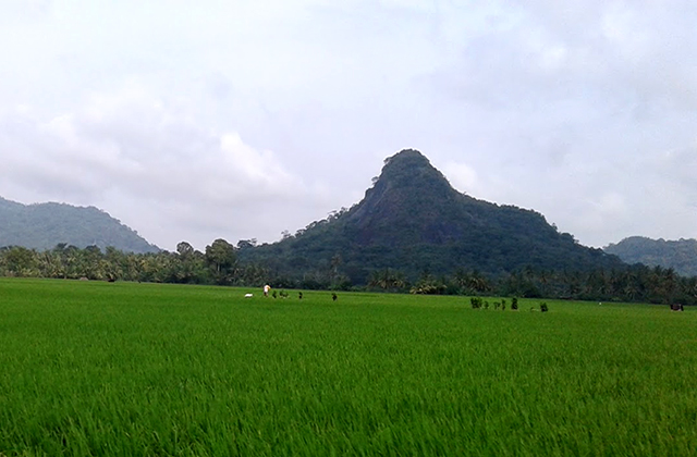 Bukit Botak - Musi Rawas