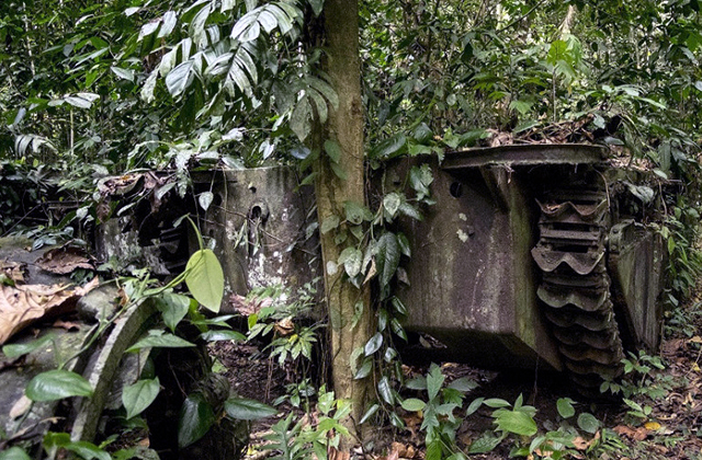 Tank Peninggalan Perang Dunia II Ngejogrok di Hutan Distrik Bikar