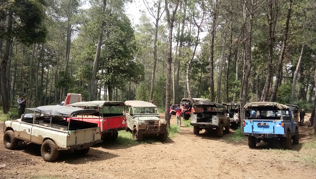 Asyiknya Memacu Adrenalin dengan Berwisata Offroad di Hutan Sawana