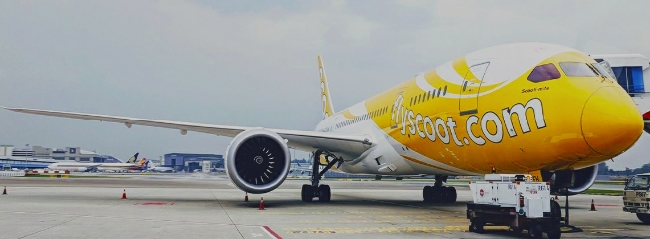 Scoot Mulai Penerbangan Langsung ke Singapura dari Yogyakarta dan Semarang