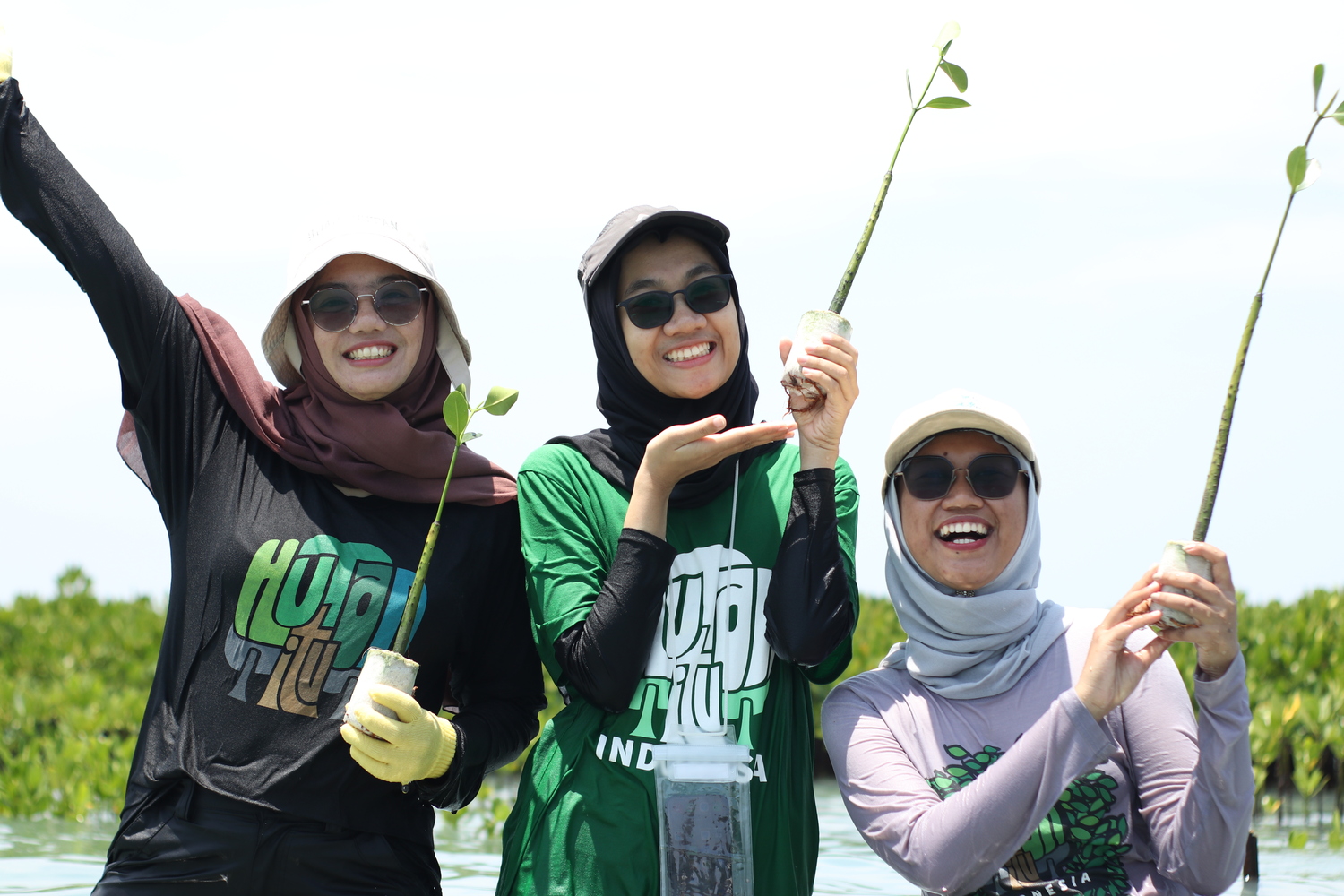 Delegasi Uni Eropa Untuk Indonesia Adopsi 1.000 Pohon Mangrove di Pulau Harapan