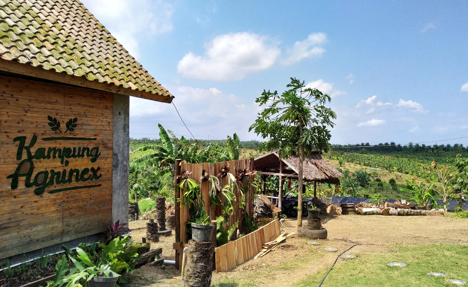 Kampung Agrinex, Agrowisata Petik Buah Berkonsep Self Healing