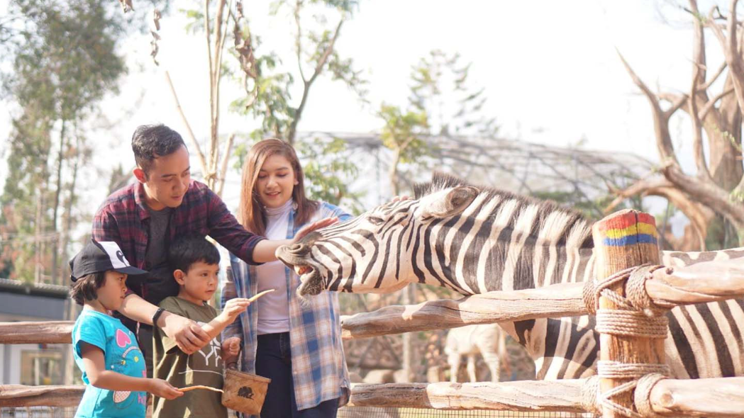 Taman Safari Indonesia! Petualangan Keluarga Lewat Keharmonisan Alam, Satwa & Manusia, Serta Edukasi.