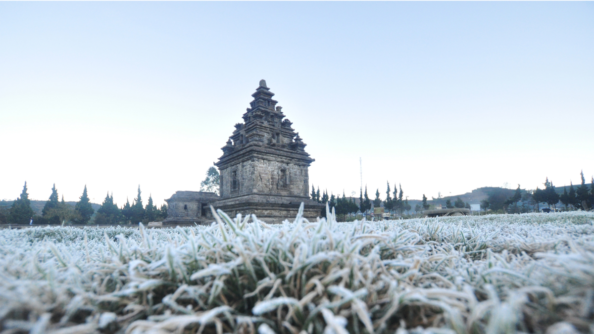 Tradisi Ruwat Gimbal Dieng dalam Balutan Storynomics Tourism