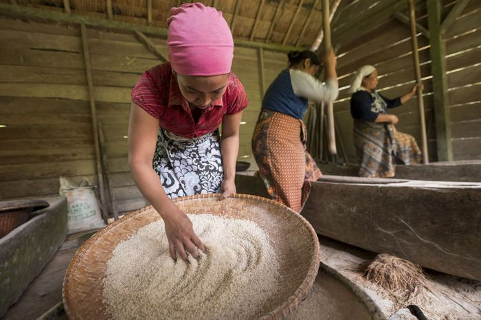 Kasepuhan Ciptagelar: Hidup Sukses Dengan Kearifan Lokal