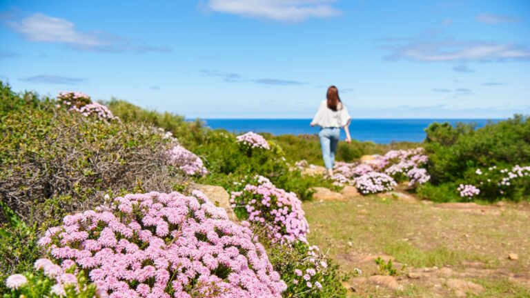 5 Pesona Festival Terbaik di Australia Barat yang Mengagumkan dan Tidak Boleh Terlewatkan!