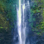 air terjun coban rondo malang panorama alam