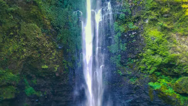 Air Terjun Coban Rondo Tawarkan Pesona Alam dan Tantangan Wisata