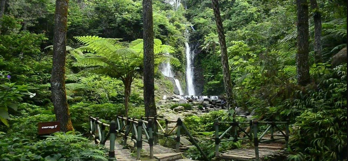 Wisata Alam Ringan Puncak Bogor 2026, Menikmati Curug dan Kebun Teh Tanpa Trek Berat