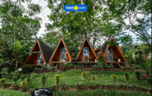 Camping dan Glamping Ringan di Puncak Bogor 2026, Liburan Alam Nyaman Tanpa Ribet