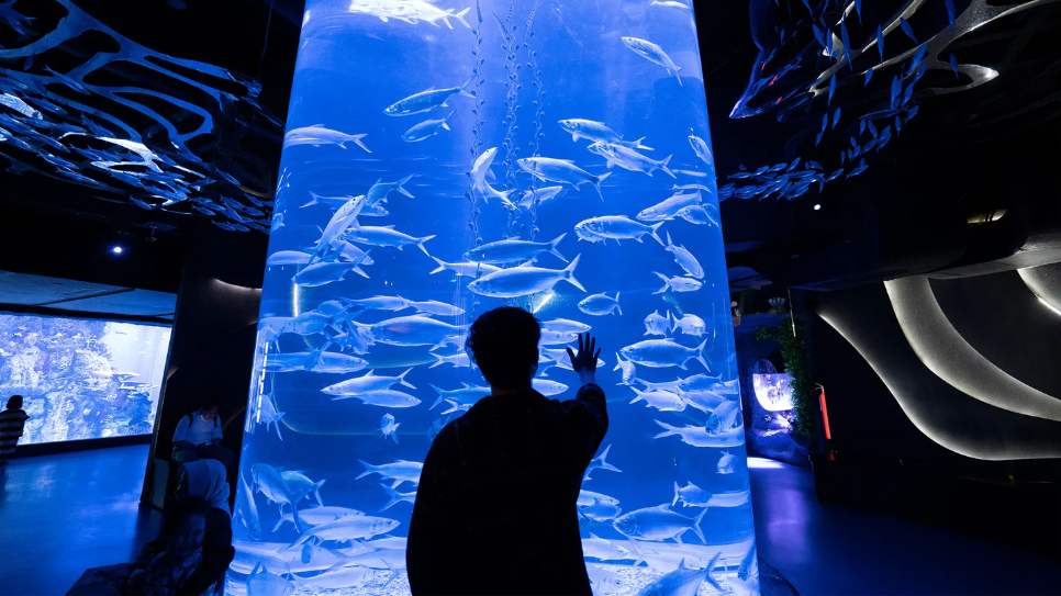 Tren Wisata Lokal Meningkat Pasca Lebaran 2026, Destinasi Sekitar Kota Jadi Favorit